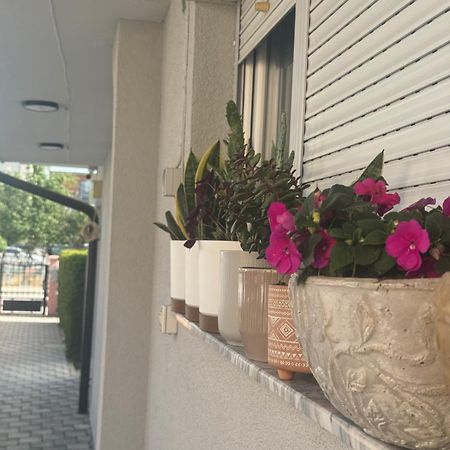 Vila Bolonja Struga Exteriér fotografie