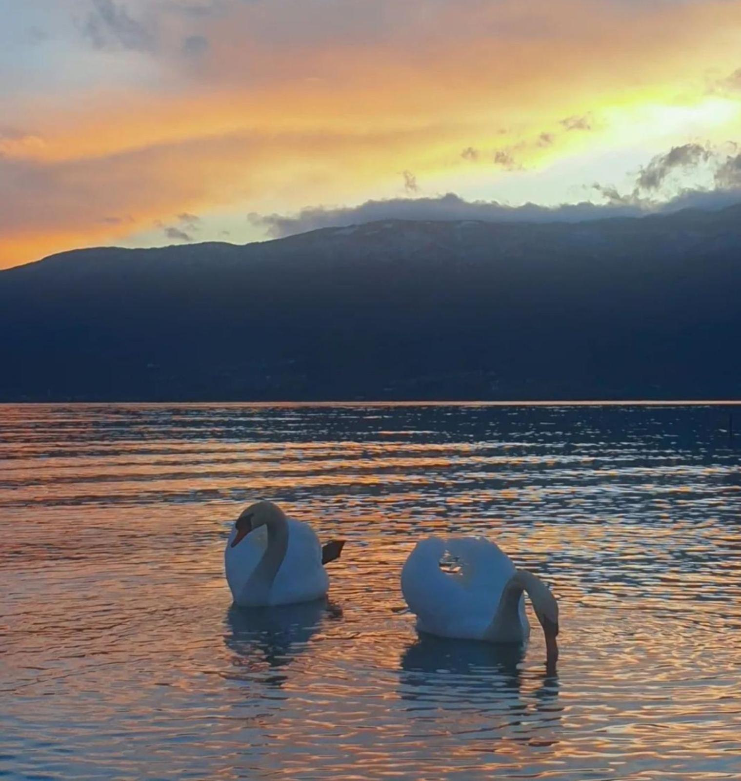 Vila Bolonja Struga Exteriér fotografie