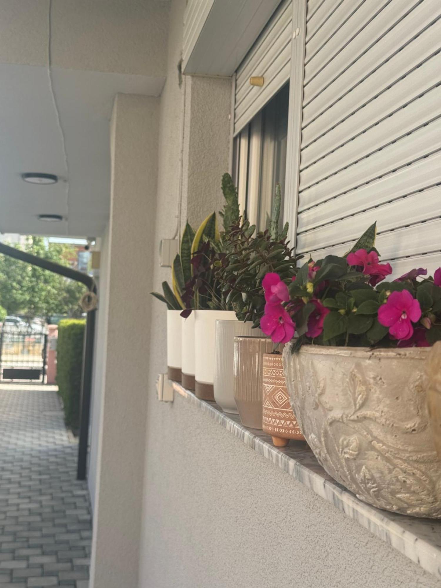 Vila Bolonja Struga Exteriér fotografie