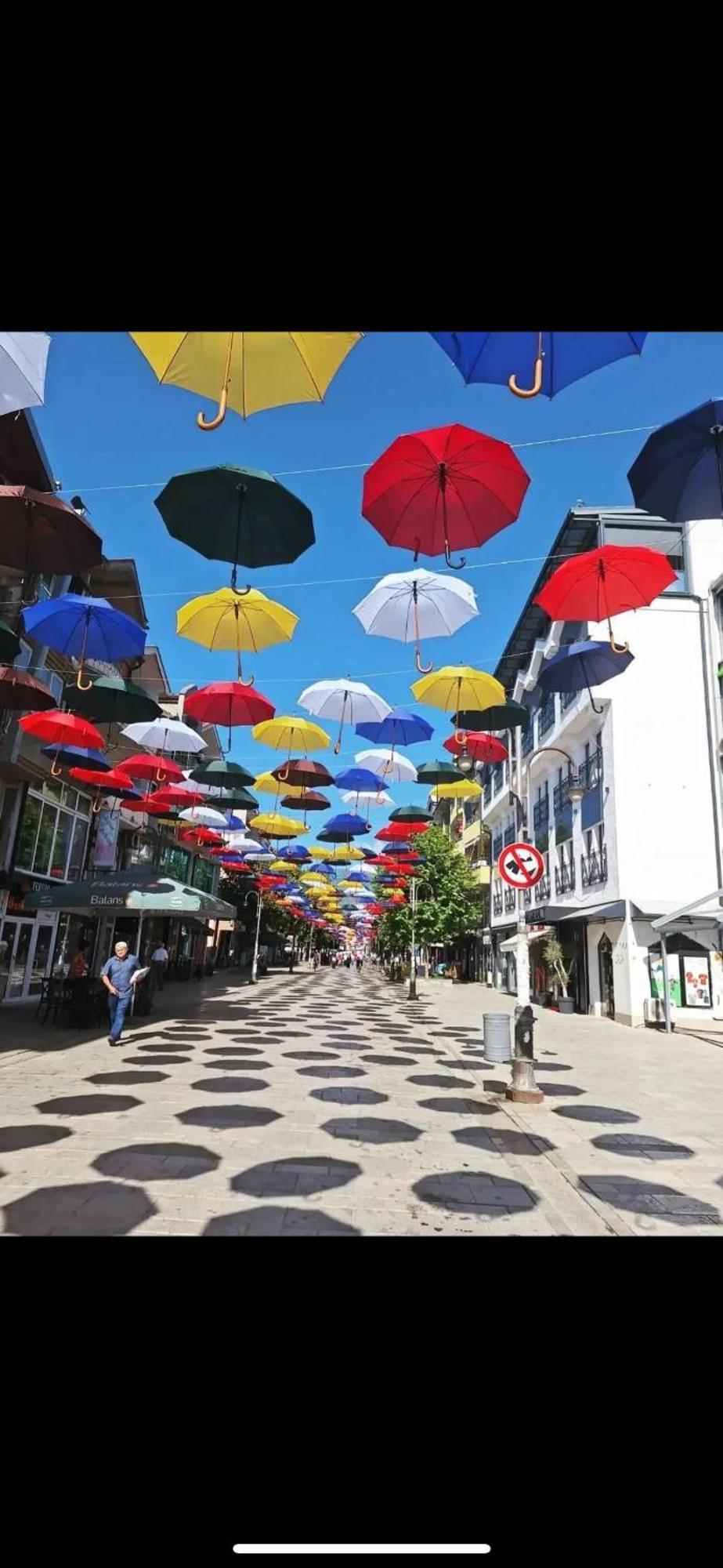 Vila Bolonja Struga Exteriér fotografie